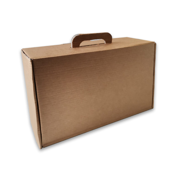 Caixa Auto-Montável 345x197x093mm com Pega Cartão Simples 5un