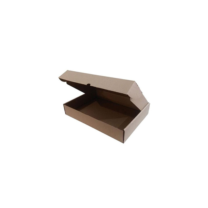 Caixa Expedição Auto-Montável 219x136x052mm Cartão Micro 100un