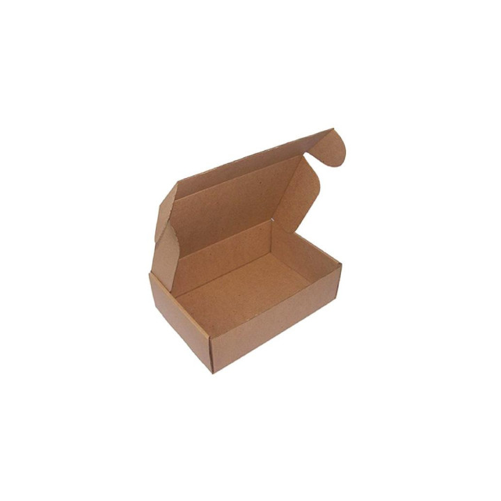 Caixa Expedição Auto-Montável 310x220x050mm Cartão Micro 100un