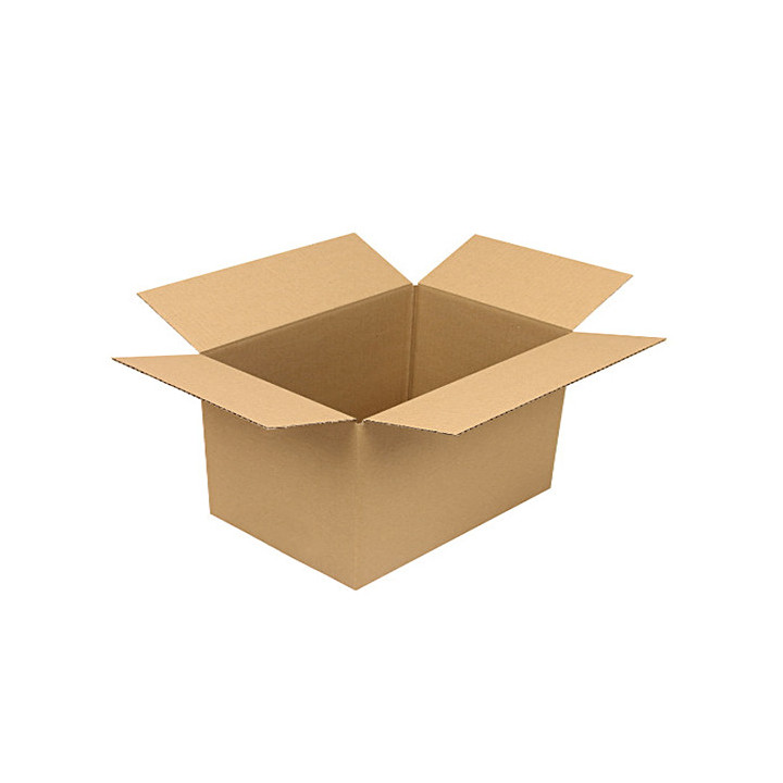 Caixa Cartão Duplo 500x310x270mm (0,04185m3) 10un