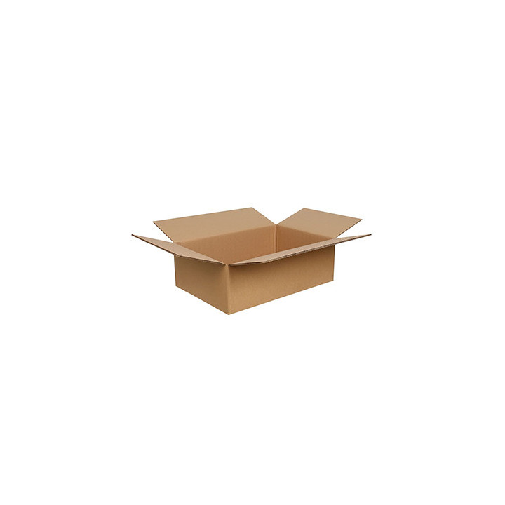 Caixa Cartão Duplo 600x400x200mm (0,048m3) 10un