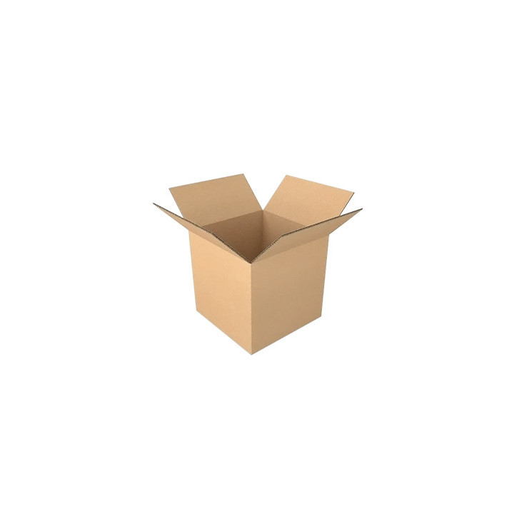 Caixa Cartão Simples 230x230x230mm 25un