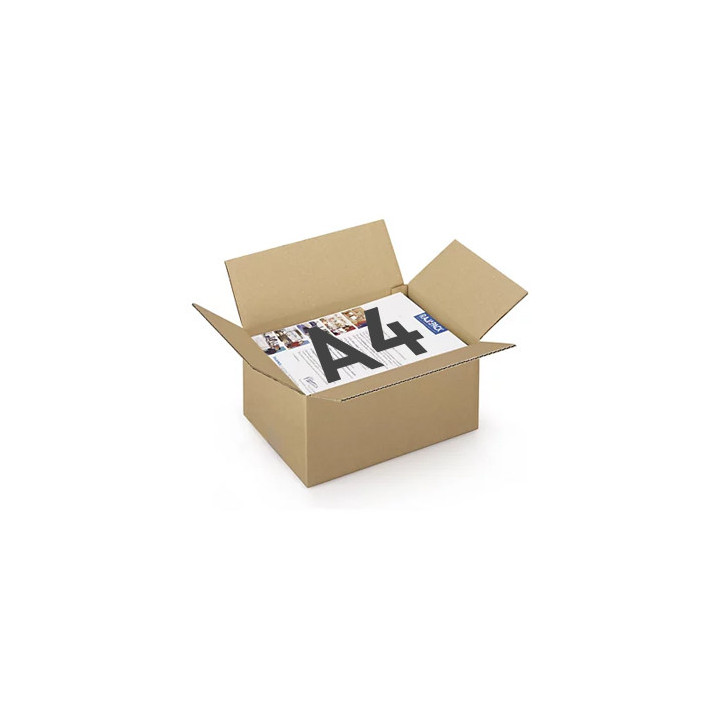 Caixa Cartão Simples 312x225x152mm (0,0106m3)- 25un